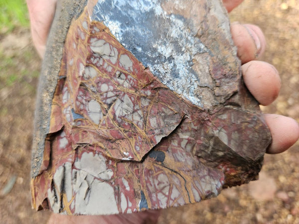 Polished Noreena Jasper. NJ469