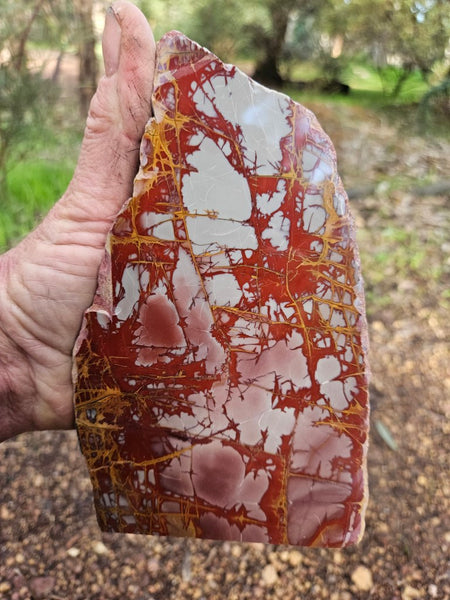 Polished Noreena Jasper. NJ469