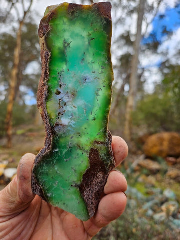 Polished  Chrysoprase slab CH461