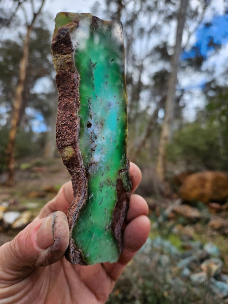 Polished  Chrysoprase slab CH461