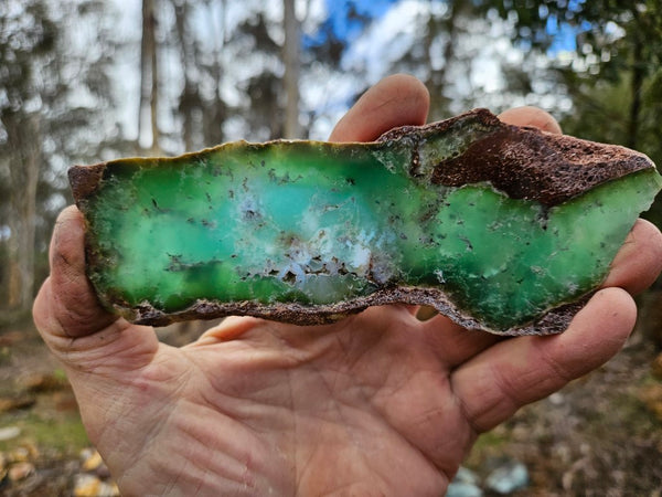 Polished  Chrysoprase slab CH461