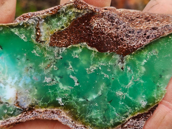 Polished  Chrysoprase slab CH461