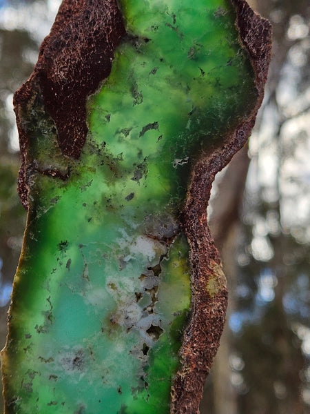 Polished  Chrysoprase slab CH461