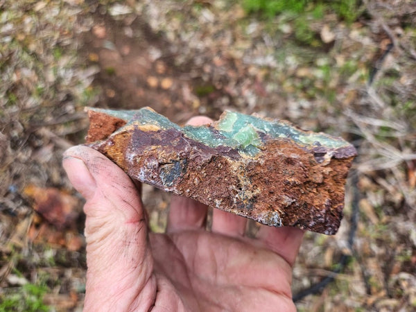 Polished  Chrysoprase  CH459