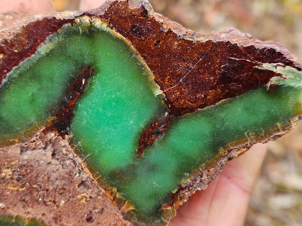 Polished  Chrysoprase  CH459