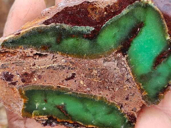 Polished  Chrysoprase  CH459