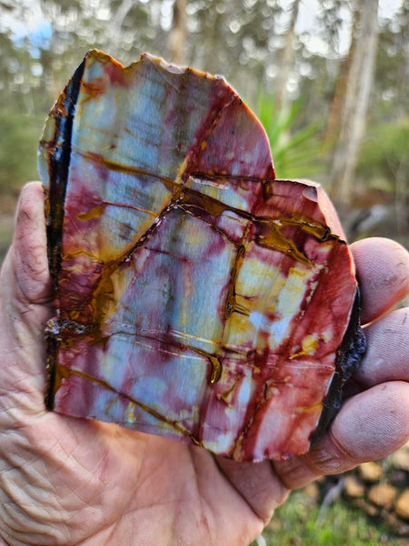 Sunset Jasper polished slab SU181