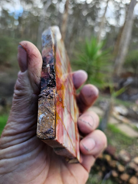 Sunset Jasper polished slab SU181