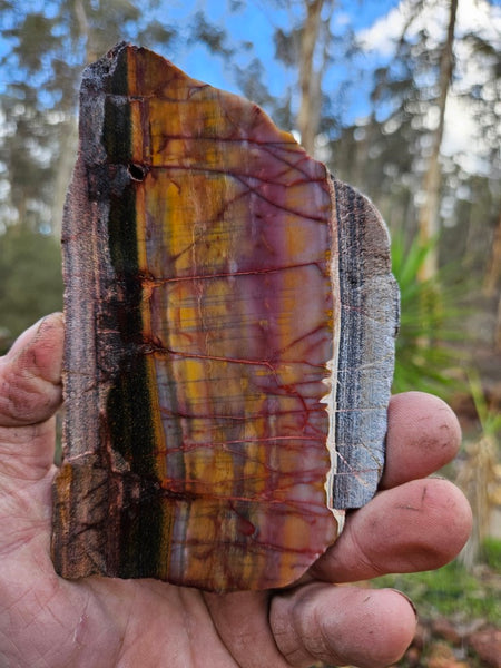 Sunset Jasper polished slab SU182