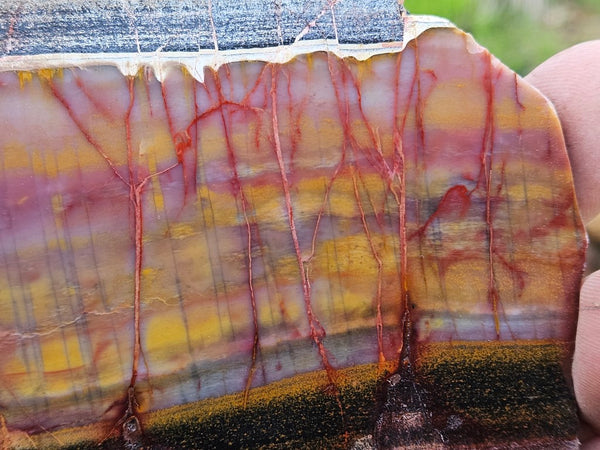 Sunset Jasper polished slab SU182