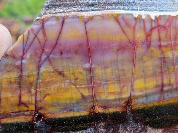 Sunset Jasper polished slab SU182