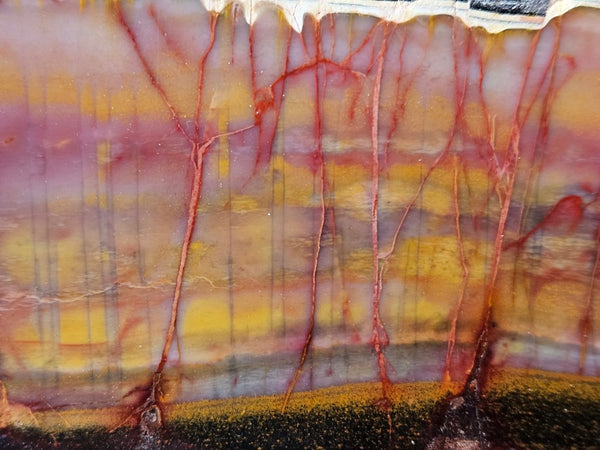 Sunset Jasper polished slab SU182