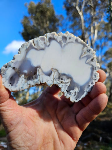 Polished Dendritic Opal slab DO201