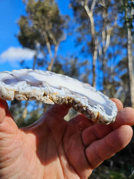 Polished Dendritic Opal slab DO201