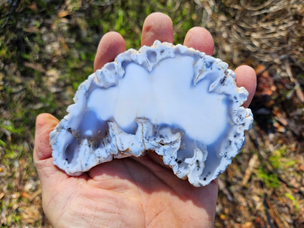 Polished Dendritic Opal slab DO201