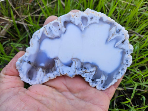 Polished Dendritic Opal slab DO201