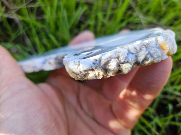 Polished Dendritic Opal slab DO201