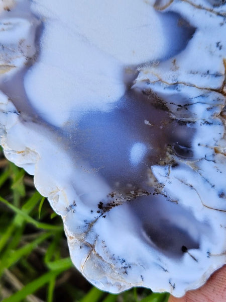 Polished Dendritic Opal slab DO201