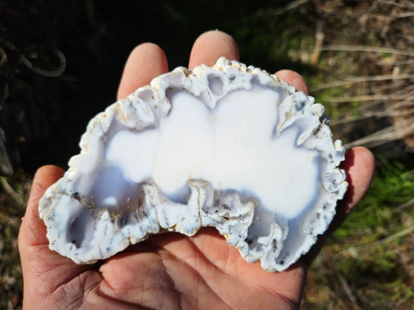 Polished Dendritic Opal slab DO201