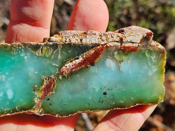 Polished  Chrysoprase slab CH463