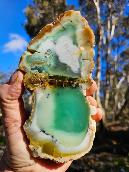 Polished Chrysoprase CH462