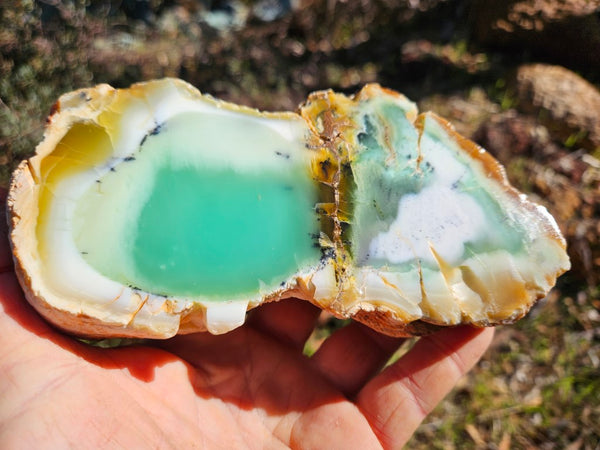 Polished Chrysoprase CH462