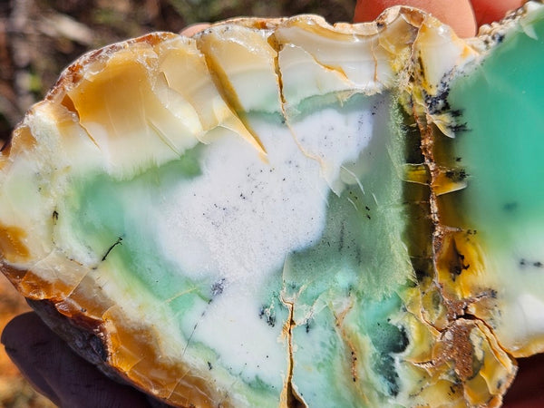 Polished Chrysoprase CH462