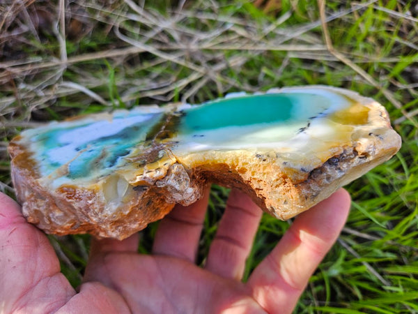 Polished Chrysoprase CH462