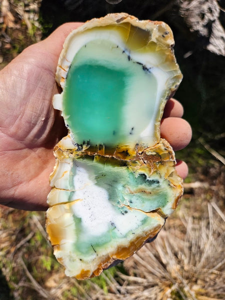 Polished Chrysoprase CH462