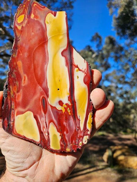 Polished Mookaite slab MK485