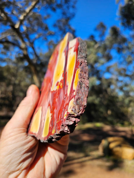 Polished Mookaite slab MK485