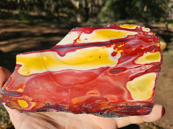 Polished Mookaite slab MK485