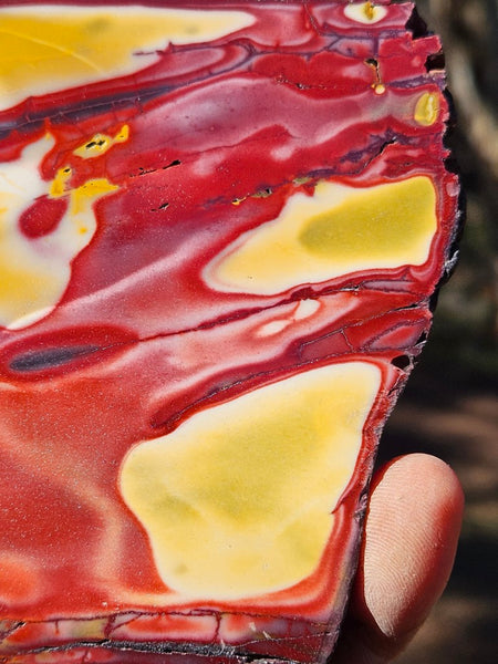 Polished Mookaite slab MK485