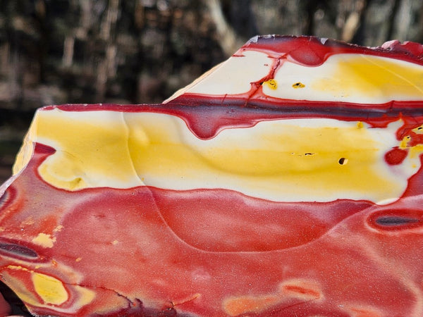 Polished Mookaite slab MK485