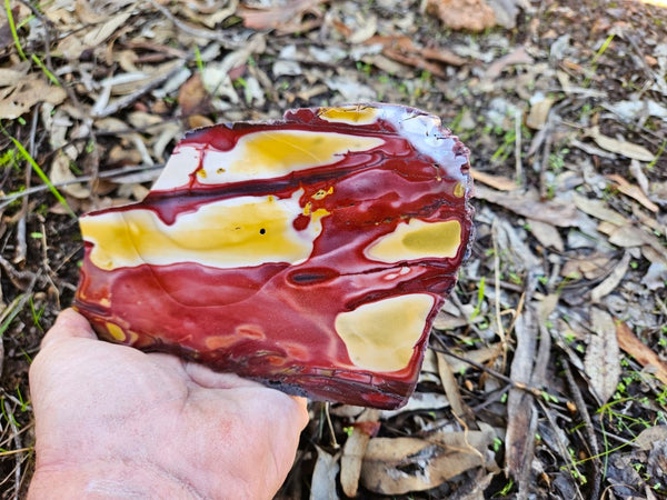 Polished Mookaite slab MK485