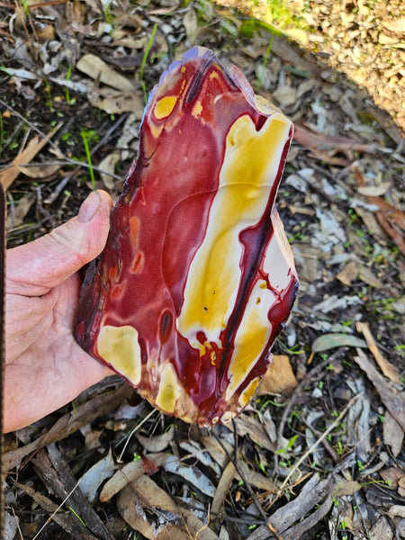 Polished Mookaite slab MK485