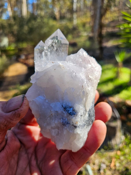 West Australian Quartz crystal . XL108