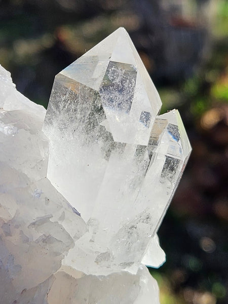 West Australian Quartz crystal . XL108