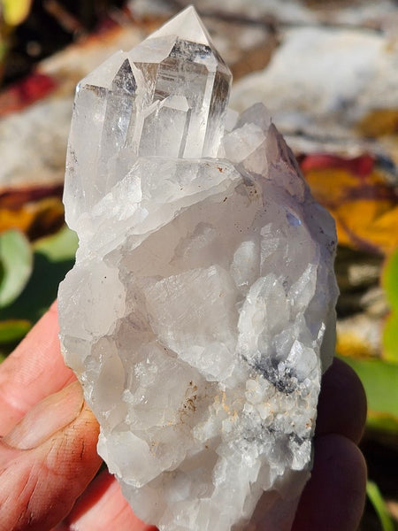 West Australian Quartz crystal . XL108