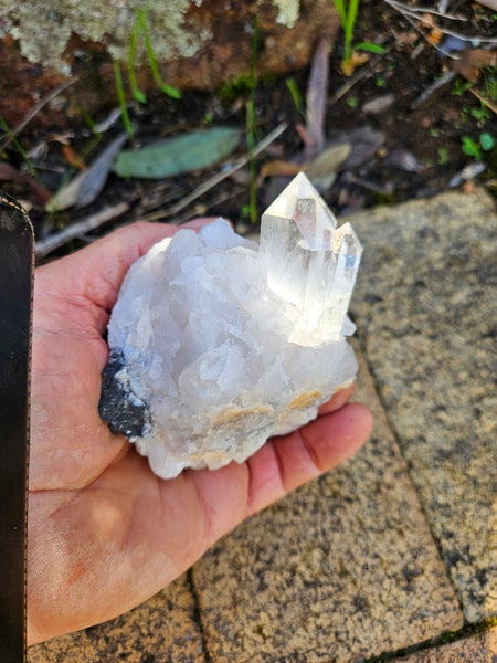 West Australian Quartz crystal . XL108