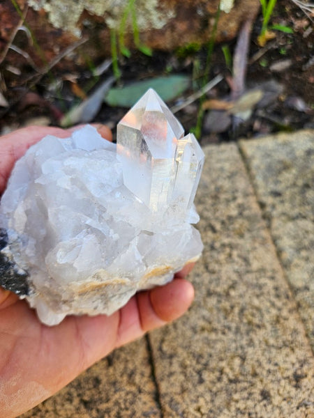 West Australian Quartz crystal . XL108