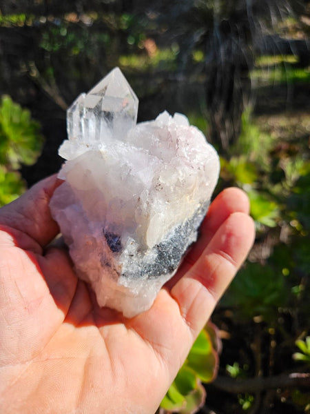 West Australian Quartz crystal . XL108