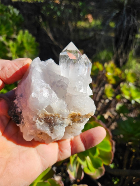 West Australian Quartz crystal . XL108