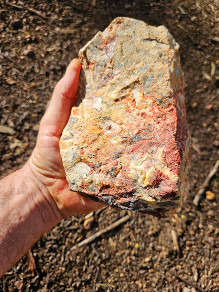 Crazy Lace Agate rough.  CLR 117