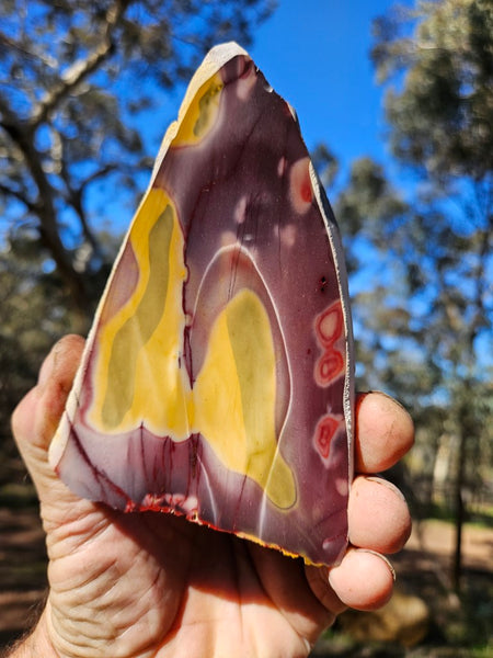 Polished Mookaite slab MK487