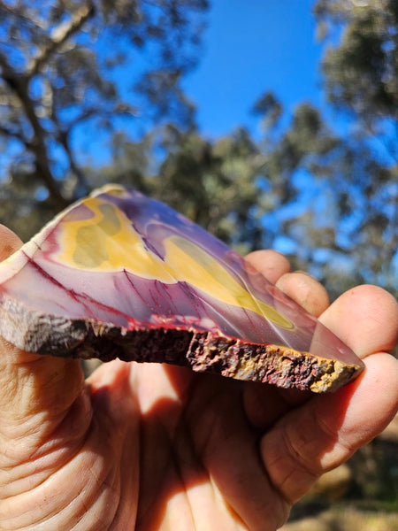 Polished Mookaite slab MK487