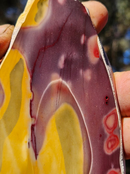 Polished Mookaite slab MK487