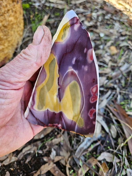 Polished Mookaite slab MK487