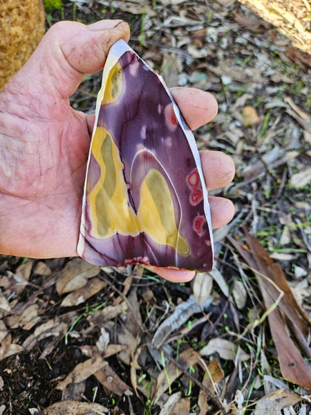 Polished Mookaite slab MK487