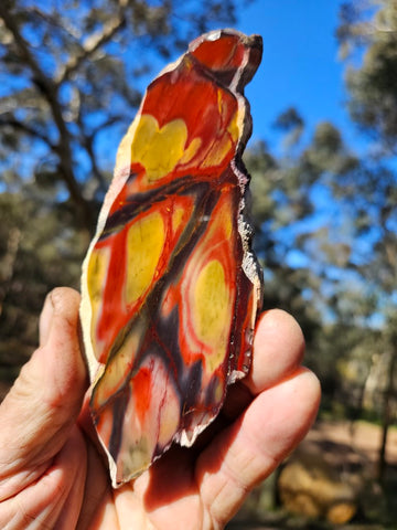 Polished Mookaite slab MK490